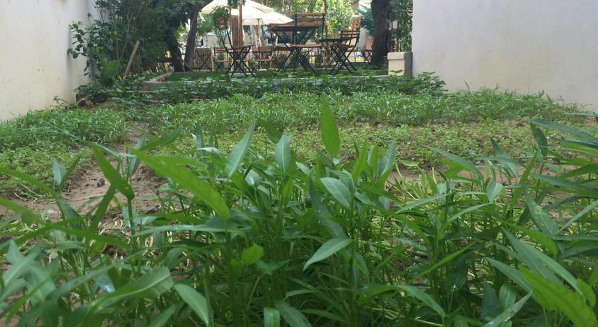 Heritage Homestay Hoi An Bagian luar foto